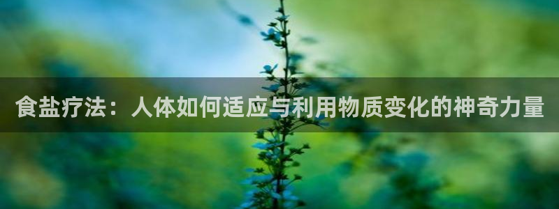 威九国际新人白发