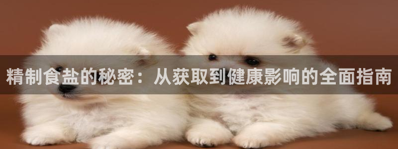 威九国际国精彩片段