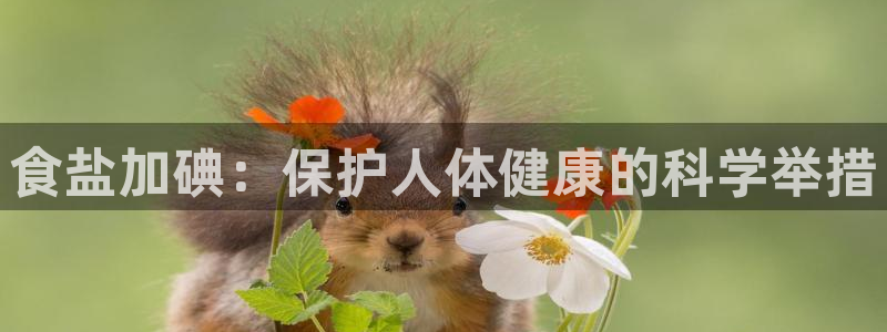 威九国际66m66模式视频