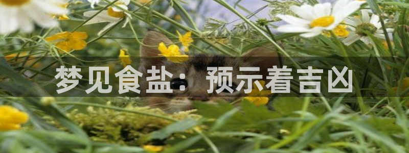 78mapp威九国际官网版