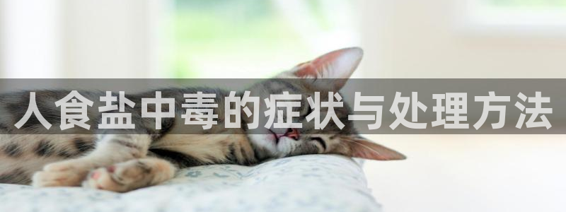 威九国际客服电话人工服务