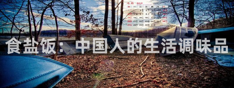 威九国际宣传片