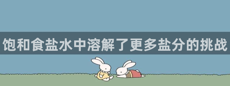 保定威九网络科技有限公司招聘