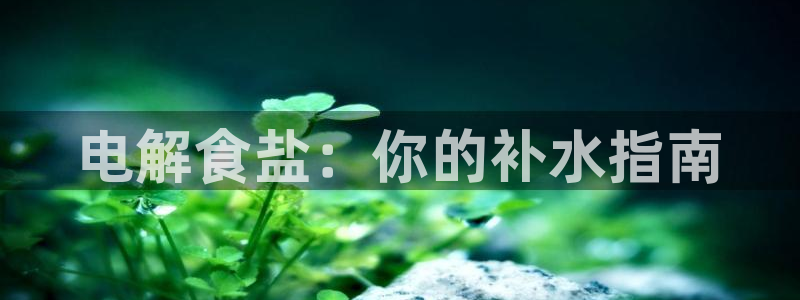 威九国际app网站