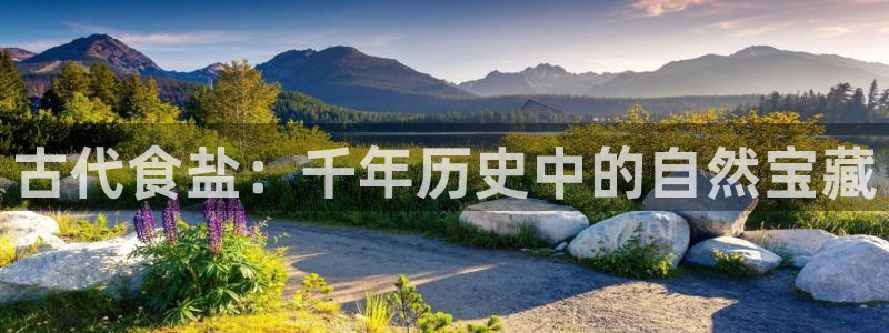 威九国际免费v5.5.2新版本特性