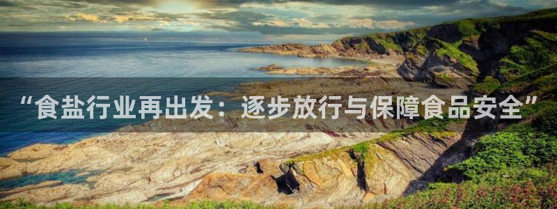 威九国际app网站