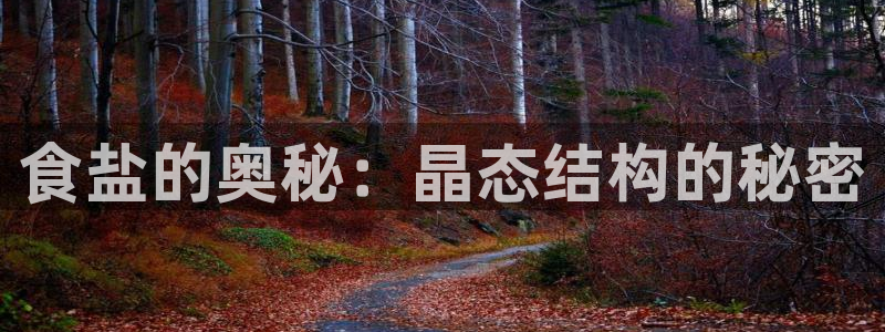 威九国际网站进入客服中心了吗