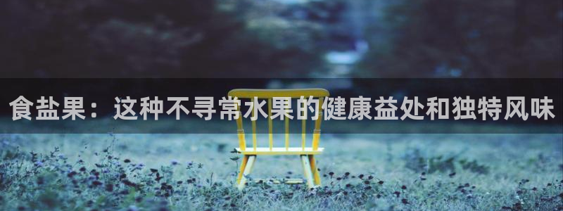 威九国际app网站官网