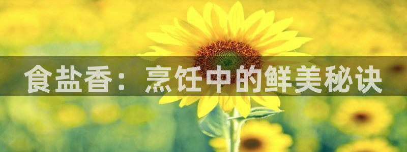 威九国际国精彩片段