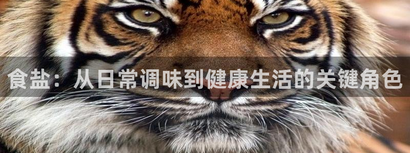 威九国际官方网站