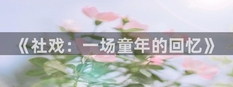 耽美小说是什么