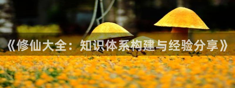 耽美小说