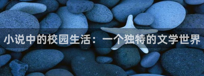 耽美小说网址